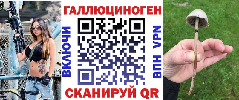 Псилоцибиновые грибы GOLDEN TEACHER  Купить где  Белоусово 